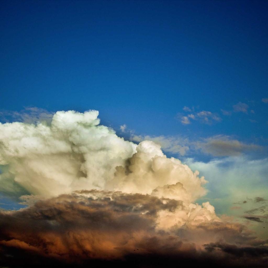 Why Field Pros and Technical Teams Are Ditching Monthly SaaS Subscriptions for PlatformMerchant